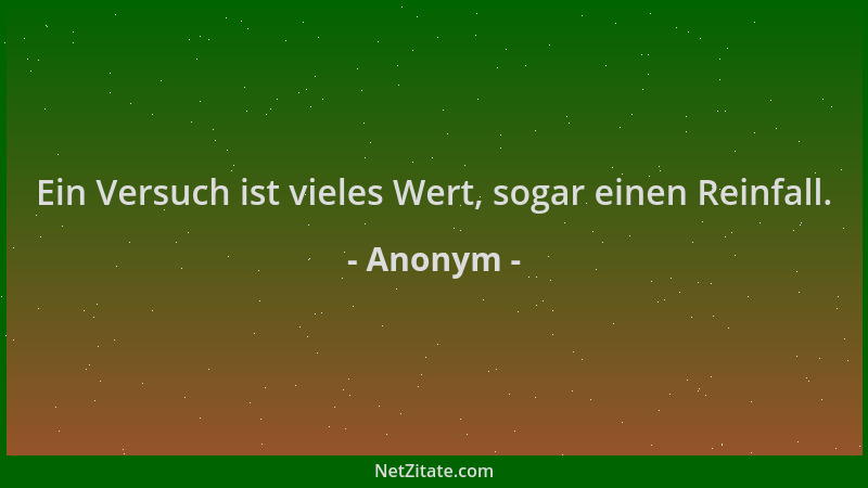 Anonym - Ein Versuch ist vieles Wert, sogar einen Reinfall....