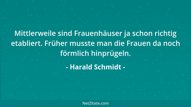 Harald Schmidt - Mittlerweile sind Frauenhäuser ja schon richtig etabliert. Früher musste man die Frauen da noch förmlich h...
