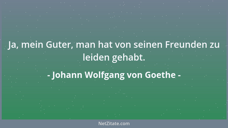 Johann Wolfgang von Goethe - Ja, mein Guter, man hat von seinen Freunden zu leiden gehabt....