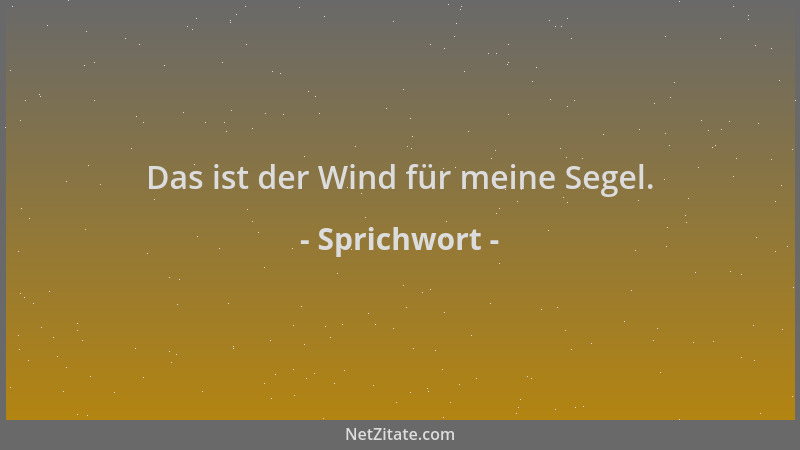 Sprichwort - Das ist der Wind für meine Segel....