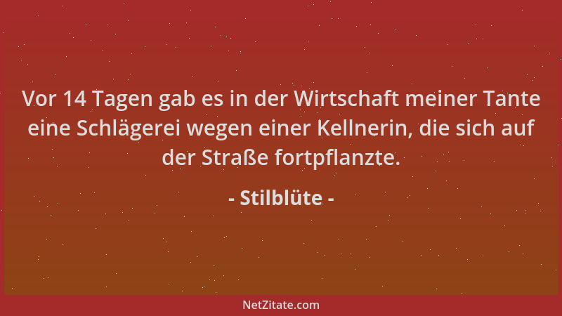 Stilblüte - Vor 14 Tagen gab es in der Wirtschaft meiner Tante eine Schlägerei wegen einer Kellnerin, die sich auf der Stra...