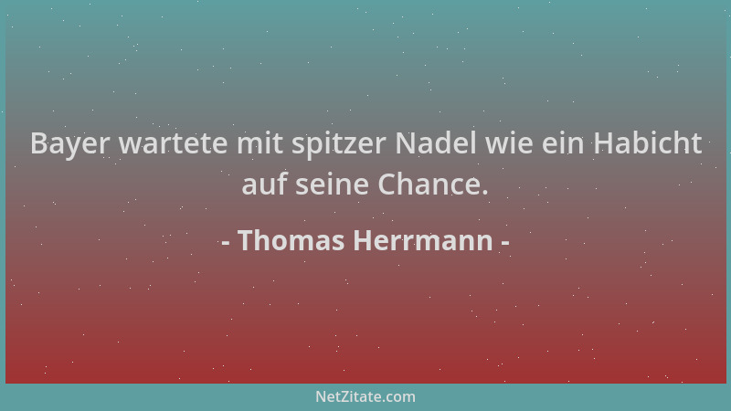 Thomas Herrmann - Bayer wartete mit spitzer Nadel wie ein Habicht auf seine Chance....