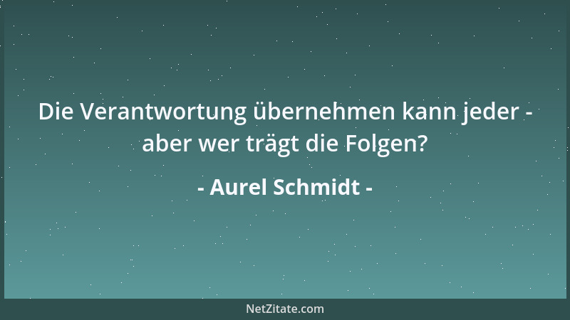Aurel Schmidt - Die Verantwortung übernehmen kann jeder - aber wer trägt die Folgen?...