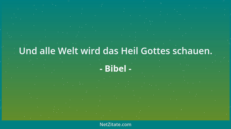 Bibel - Und alle Welt wird das Heil Gottes schauen....