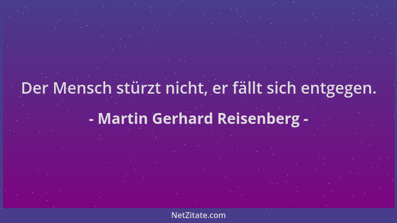 Martin Gerhard Reisenberg - Der Mensch stürzt nicht, er fällt sich entgegen....
