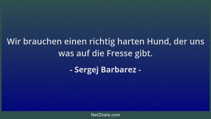 Sergej Barbarez - Wir brauchen einen richtig harten Hund, der uns was auf die Fresse gibt....