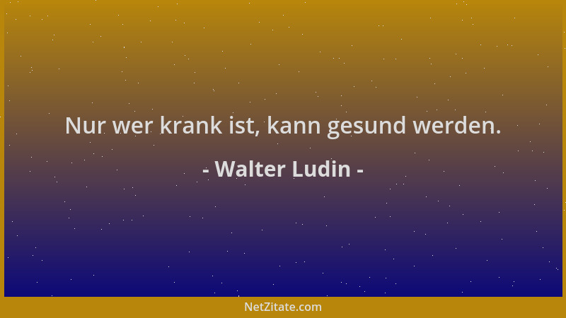 Walter Ludin - Nur wer krank ist, kann gesund werden....
