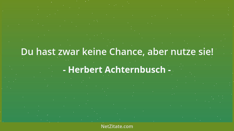 Herbert Achternbusch - Du hast zwar keine Chance, aber nutze sie!...