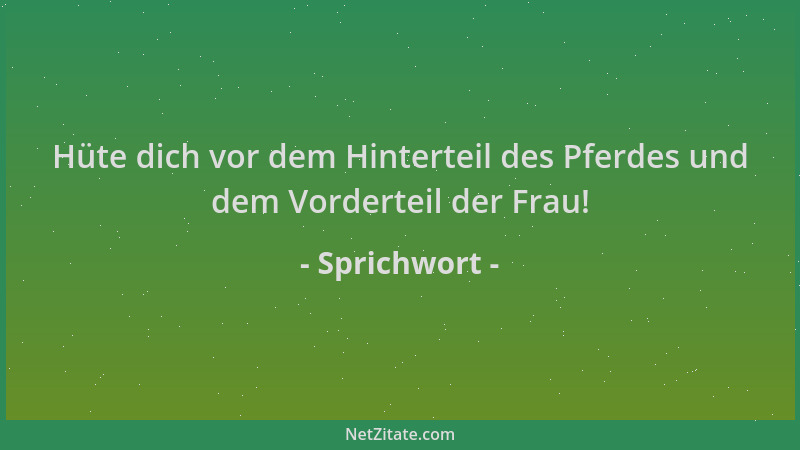 Sprichwort - Hüte dich vor dem Hinterteil des Pferdes und dem Vorderteil der Frau!...