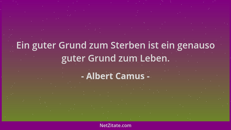 Albert Camus - Ein guter Grund zum Sterben ist ein genauso guter Grund zum Leben....