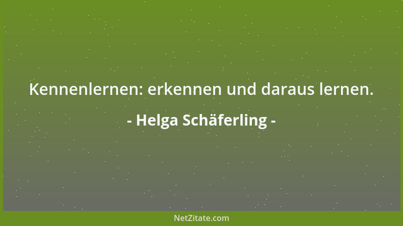 Helga Schäferling - Kennenlernen: erkennen und daraus lernen....