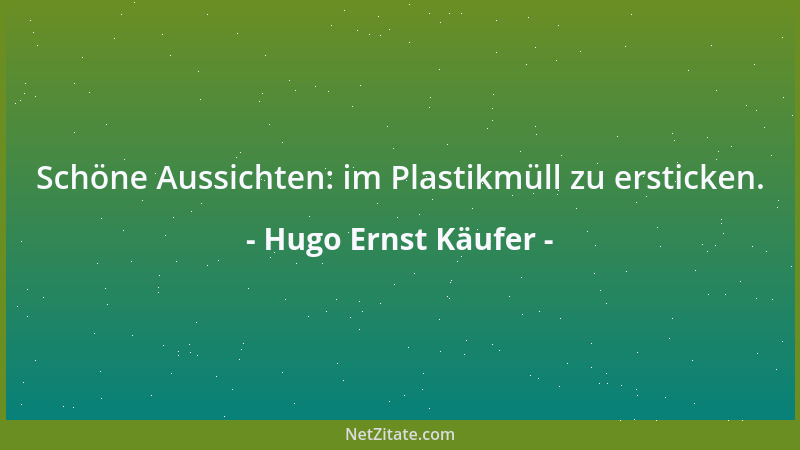 Hugo Ernst Käufer - Schöne Aussichten: im Plastikmüll zu ersticken....