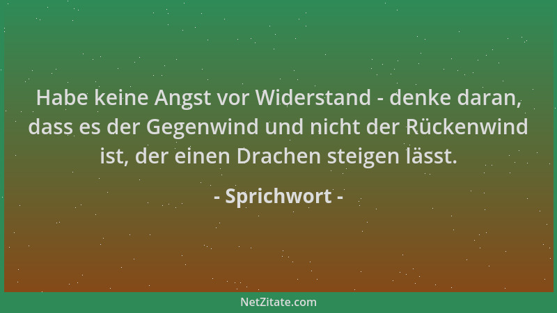 Sprichwort - Habe keine Angst vor Widerstand - denke daran, dass es der Gegenwind und nicht der Rückenwind ist, der einen D...