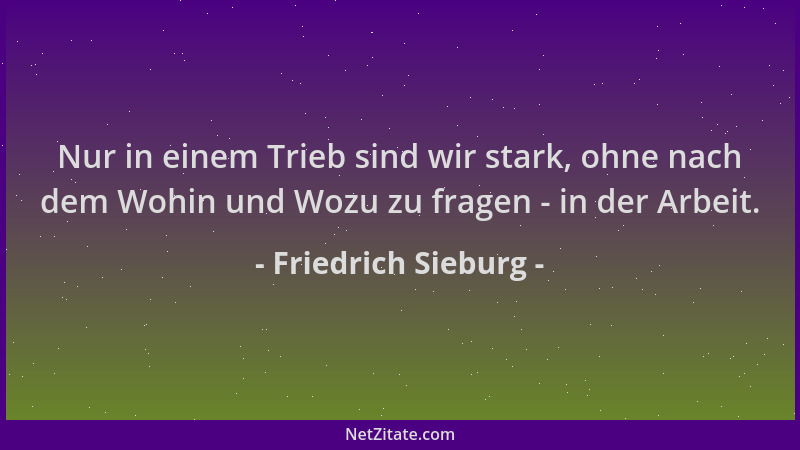 Friedrich Sieburg - Nur in einem Trieb sind wir stark, ohne nach dem Wohin und Wozu zu fragen - in der Arbeit....