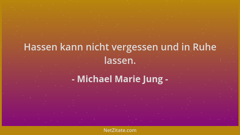Michael Marie Jung - Hassen kann nicht vergessen und in Ruhe lassen....