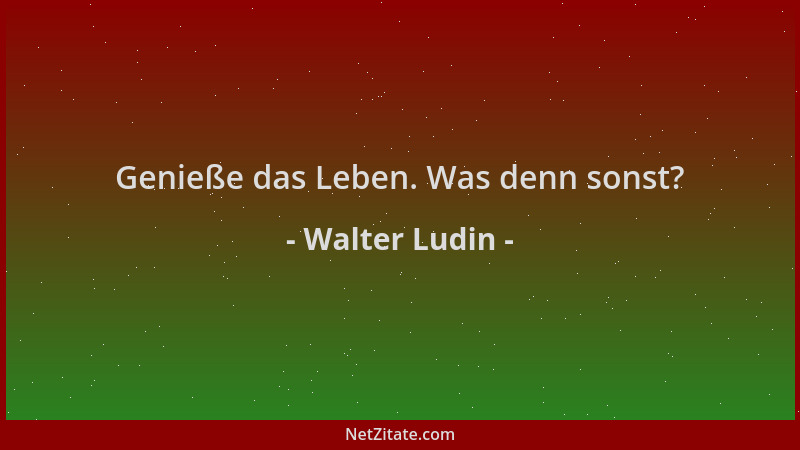 Walter Ludin - Genieße das Leben. Was denn sonst?...