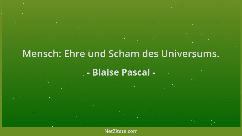 Blaise Pascal - Mensch: Ehre und Scham des Universums....