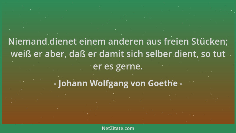 Johann Wolfgang von Goethe - Niemand dienet einem anderen aus freien Stücken; weiß er aber, daß er damit sich selber dient,...