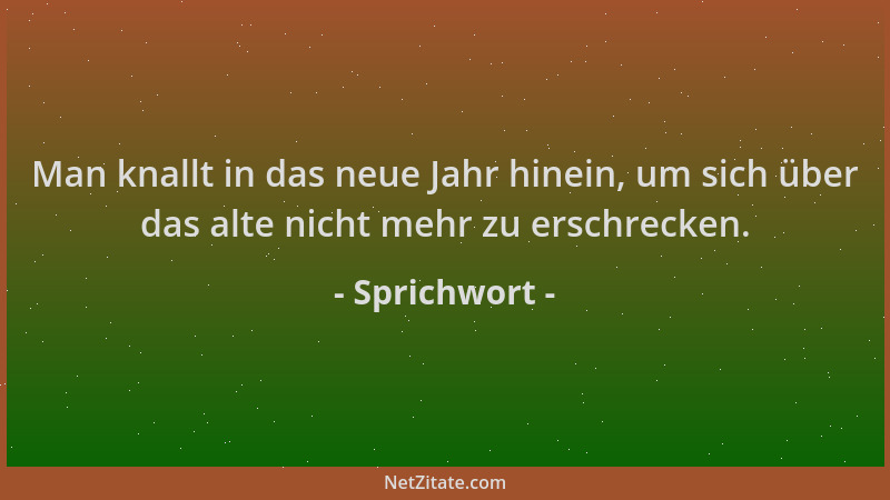 Sprichwort - Man knallt in das neue Jahr hinein, um sich über das alte nicht mehr zu erschrecken....