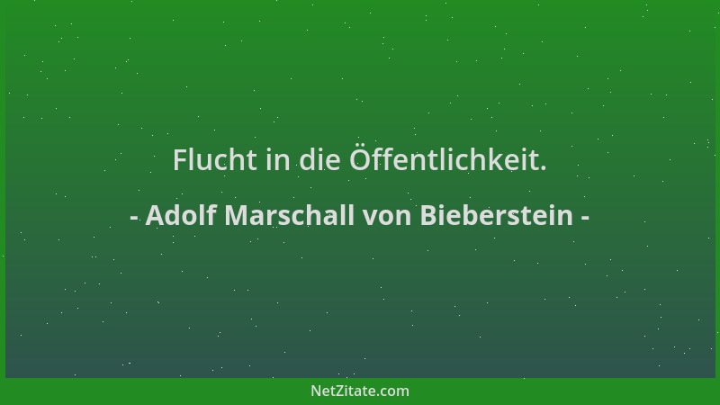 Adolf Marschall von Bieberstein - Flucht in die Öffentlichkeit....
