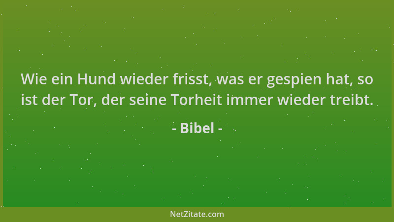 Bibel - Wie ein Hund wieder frisst, was er gespien hat, so ist der Tor, der seine Torheit immer wieder treibt....