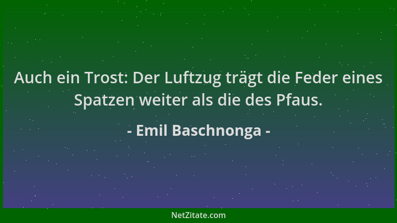 Emil Baschnonga - Auch ein Trost: Der Luftzug trägt die Feder eines Spatzen weiter als die des Pfaus....