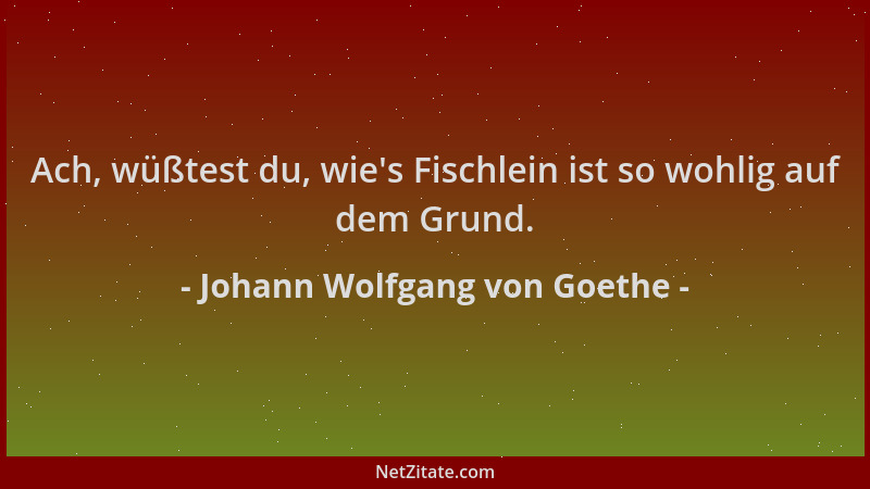 Johann Wolfgang von Goethe - Ach, wüßtest du, wie 's Fischlein ist so wohlig auf dem Grund....