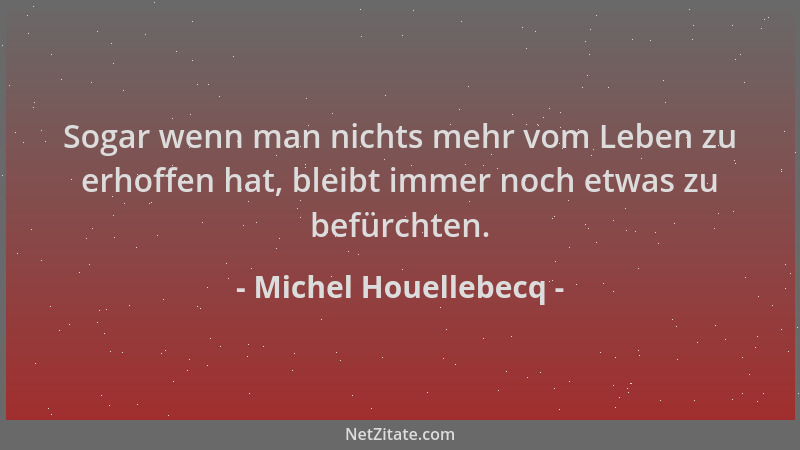Michel Houellebecq - Sogar wenn man nichts mehr vom Leben zu erhoffen hat, bleibt immer noch etwas zu befürchten....