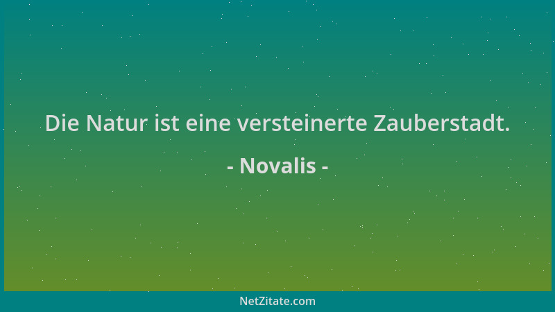 Novalis - Die Natur ist eine versteinerte Zauberstadt....