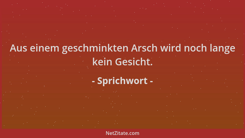 Sprichwort - Aus einem geschminkten Arsch wird noch lange kein Gesicht....