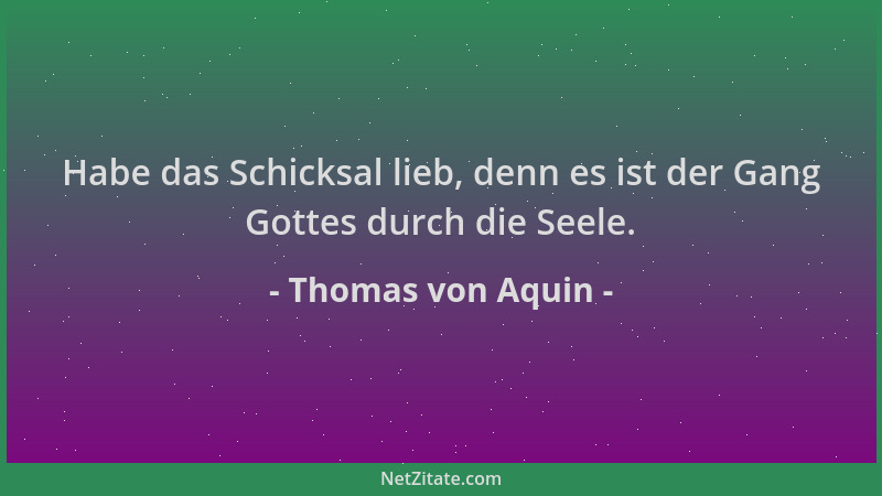 Thomas von Aquin - Habe das Schicksal lieb, denn es ist der Gang Gottes durch die Seele....