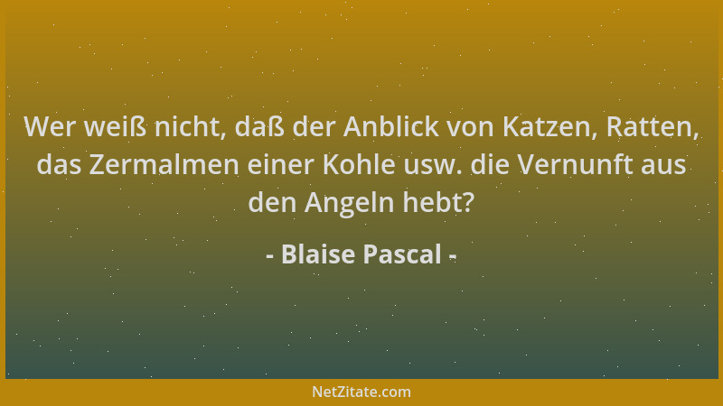 Blaise Pascal - Wer weiß nicht, daß der Anblick von Katzen, Ratten, das Zermalmen einer Kohle usw. die Vernunft aus den Ang...