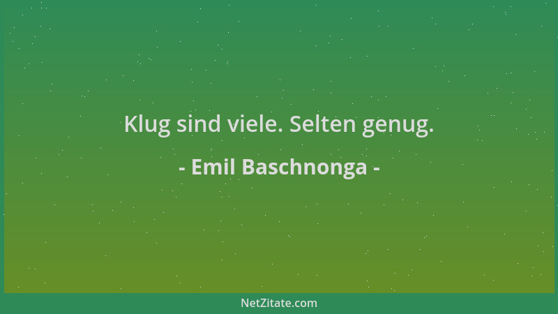 Emil Baschnonga - Klug sind viele. Selten genug....