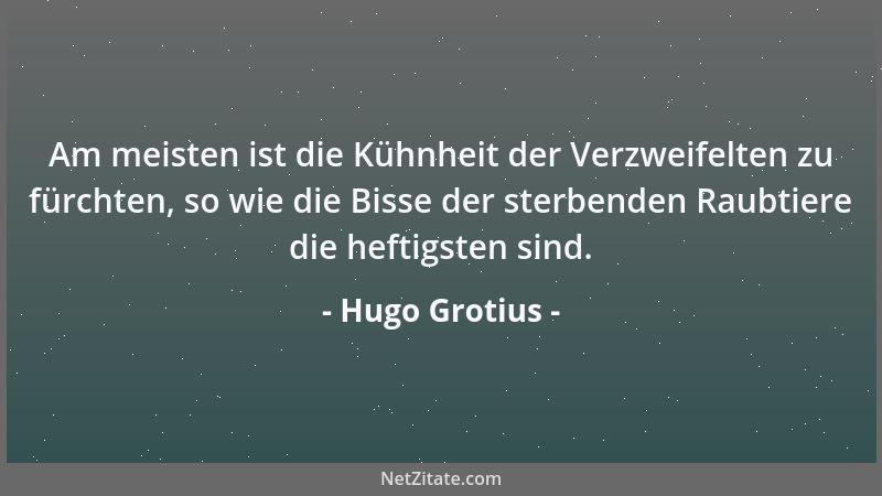 Hugo Grotius - Am meisten ist die Kühnheit der Verzweifelten zu fürchten, so wie die Bisse der sterbenden Raubtiere die hef...