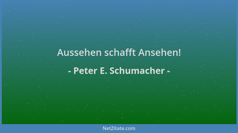 Peter E. Schumacher - Aussehen schafft Ansehen!...