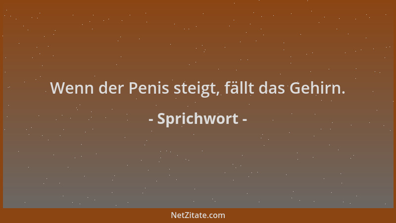 Sprichwort - Wenn der Penis steigt, fällt das Gehirn....
