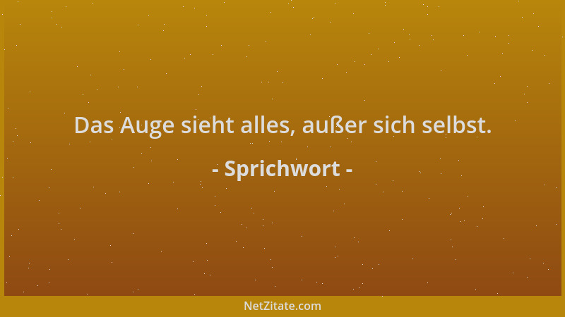 Sprichwort - Das Auge sieht alles, außer sich selbst....