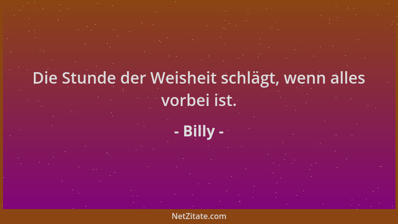 Billy - Die Stunde der Weisheit schlägt, wenn alles vorbei ist....
