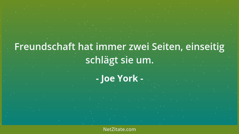 Joe York - Freundschaft hat immer zwei Seiten, einseitig schlägt sie um....