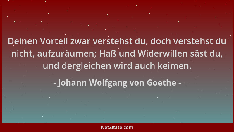 Johann Wolfgang von Goethe - Deinen Vorteil zwar verstehst du, doch verstehst du nicht, aufzuräumen; Haß und Widerwillen sä...