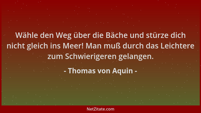 Thomas von Aquin - Wähle den Weg über die Bäche und stürze dich nicht gleich ins Meer! Man muß durch das Leichtere zum Schw...
