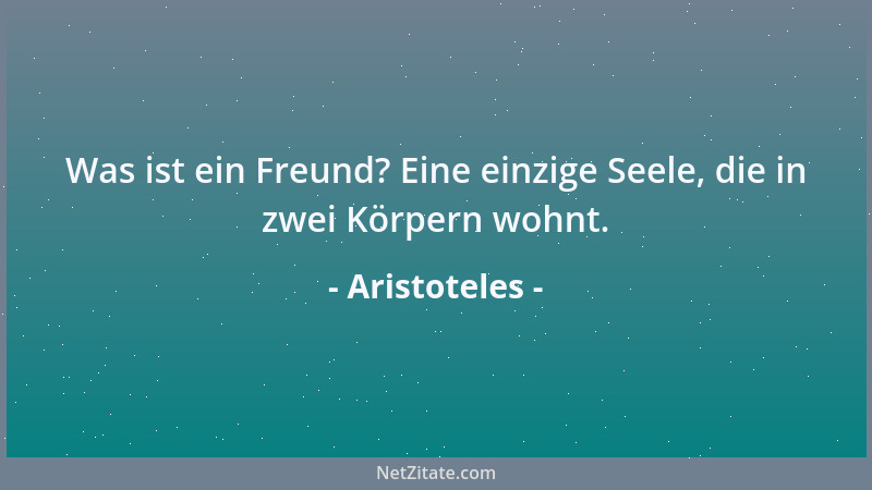Aristoteles - Was ist ein Freund? Eine einzige Seele, die in zwei Körpern wohnt....