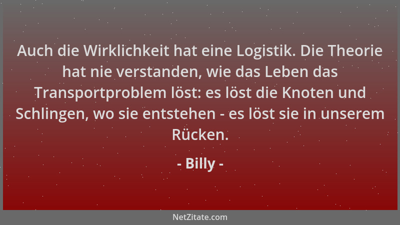 Billy - Auch die Wirklichkeit hat eine Logistik. Die Theorie hat nie verstanden, wie das Leben das Transportproblem löst: e...