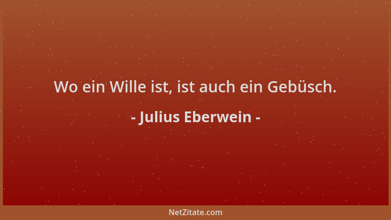 Julius Eberwein - Wo ein Wille ist, ist auch ein Gebüsch....