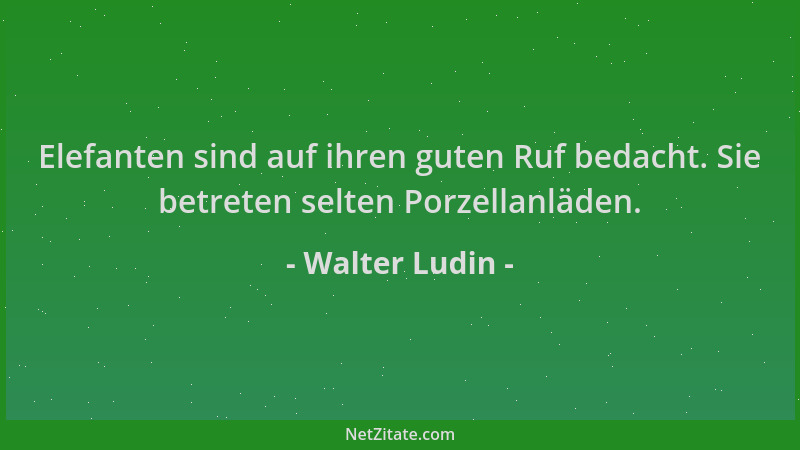 Walter Ludin - Elefanten sind auf ihren guten Ruf bedacht. Sie betreten selten Porzellanläden....