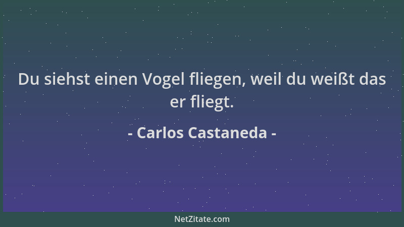 Carlos Castaneda - Du siehst einen Vogel fliegen, weil du weißt das er fliegt....