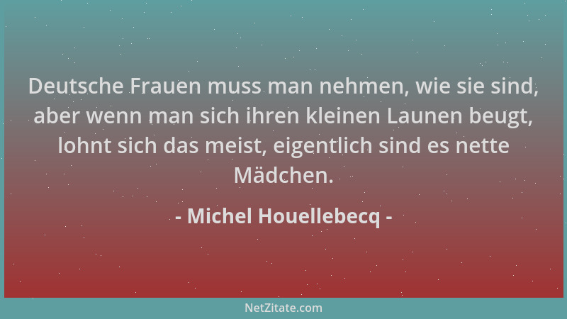 Michel Houellebecq - Deutsche Frauen muss man nehmen, wie sie sind, aber wenn man sich ihren kleinen Launen beugt, lohnt si...