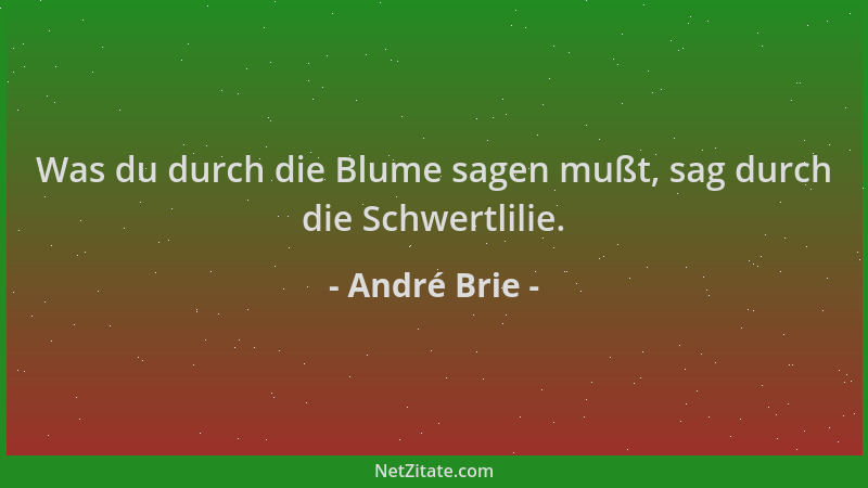 André Brie - Was du durch die Blume sagen mußt, sag durch die Schwertlilie....