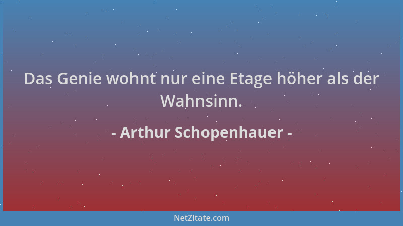 Arthur Schopenhauer - Das Genie wohnt nur eine Etage höher als der Wahnsinn....