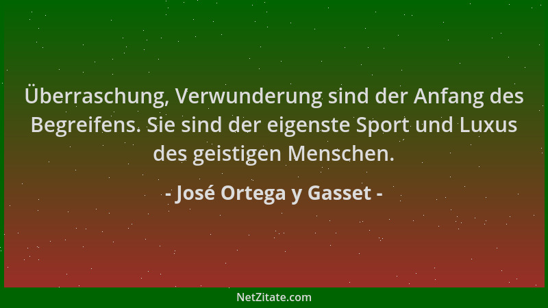José Ortega y Gasset - Überraschung, Verwunderung sind der Anfang des Begreifens. Sie sind der eigenste Sport und Luxus des...